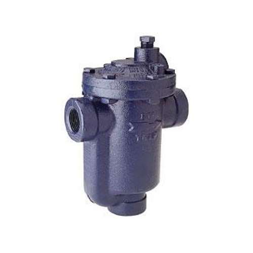 استیم تراپ ارمسترانگ